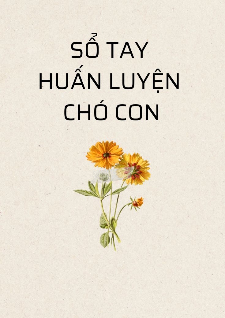 SỔ TAY HUẤN LUYỆN CHÓ CON